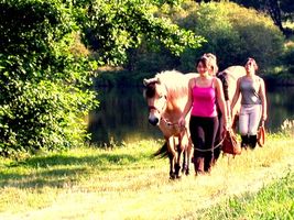 Equitation